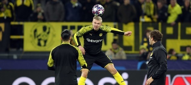 毛球界的一 毛球界的一