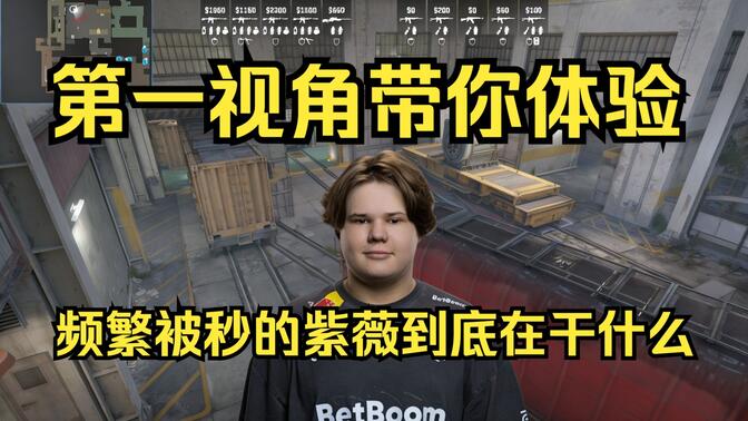 终局稳定器 终局稳定器